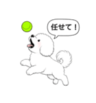 ビションフリーゼ(アフロカット)（個別スタンプ：19）