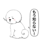 ビションフリーゼ(アフロカット)（個別スタンプ：21）