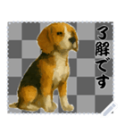 犬の メッセージ スタンプ 51（個別スタンプ：2）