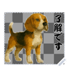 犬の メッセージ スタンプ 51（個別スタンプ：6）