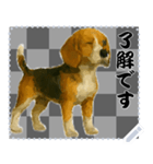 犬の メッセージ スタンプ 51（個別スタンプ：7）