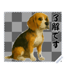 犬の メッセージ スタンプ 51（個別スタンプ：11）