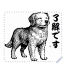 犬の メッセージ スタンプ 01（個別スタンプ：1）