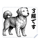 犬の メッセージ スタンプ 01（個別スタンプ：2）