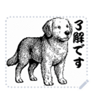 犬の メッセージ スタンプ 01（個別スタンプ：3）
