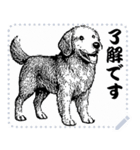 犬の メッセージ スタンプ 01（個別スタンプ：5）