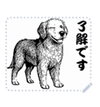 犬の メッセージ スタンプ 01（個別スタンプ：6）