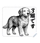 犬の メッセージ スタンプ 01（個別スタンプ：7）