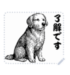 犬の メッセージ スタンプ 01（個別スタンプ：8）