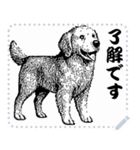 犬の メッセージ スタンプ 01（個別スタンプ：9）