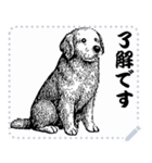 犬の メッセージ スタンプ 01（個別スタンプ：10）