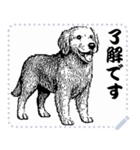 犬の メッセージ スタンプ 01（個別スタンプ：11）