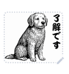 犬の メッセージ スタンプ 01（個別スタンプ：12）