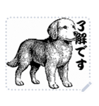 犬の メッセージ スタンプ 01（個別スタンプ：15）