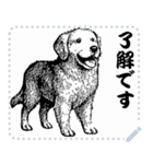 犬の メッセージ スタンプ 01（個別スタンプ：16）