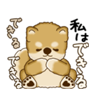 柴犬さん 2025 「やるかやらないか」（個別スタンプ：1）