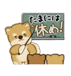 柴犬さん 2025 「やるかやらないか」（個別スタンプ：4）