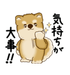柴犬さん 2025 「やるかやらないか」（個別スタンプ：5）
