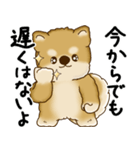 柴犬さん 2025 「やるかやらないか」（個別スタンプ：6）