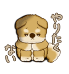 柴犬さん 2025 「やるかやらないか」（個別スタンプ：12）