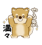 柴犬さん 2025 「やるかやらないか」（個別スタンプ：13）