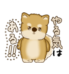 柴犬さん 2025 「やるかやらないか」（個別スタンプ：14）