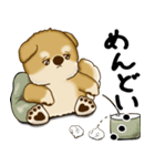 柴犬さん 2025 「やるかやらないか」（個別スタンプ：16）