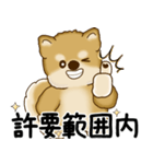 柴犬さん 2025 「やるかやらないか」（個別スタンプ：18）
