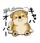 柴犬さん 2025 「やるかやらないか」（個別スタンプ：19）