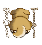 柴犬さん 2025 「やるかやらないか」（個別スタンプ：20）