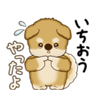 柴犬さん 2025 「やるかやらないか」（個別スタンプ：23）