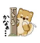 柴犬さん 2025 「やるかやらないか」（個別スタンプ：24）