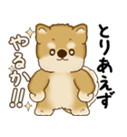 柴犬さん 2025 「やるかやらないか」（個別スタンプ：26）
