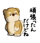 柴犬さん 2025 「やるかやらないか」（個別スタンプ：27）