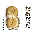 柴犬さん 2025 「やるかやらないか」（個別スタンプ：28）