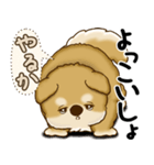 柴犬さん 2025 「やるかやらないか」（個別スタンプ：29）
