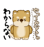 柴犬さん 2025 「やるかやらないか」（個別スタンプ：30）