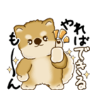 柴犬さん 2025 「やるかやらないか」（個別スタンプ：33）