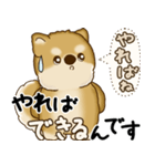 柴犬さん 2025 「やるかやらないか」（個別スタンプ：34）