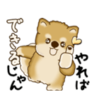 柴犬さん 2025 「やるかやらないか」（個別スタンプ：35）