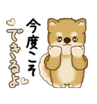 柴犬さん 2025 「やるかやらないか」（個別スタンプ：36）