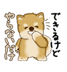 柴犬さん 2025 「やるかやらないか」（個別スタンプ：37）