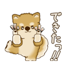 柴犬さん 2025 「やるかやらないか」（個別スタンプ：38）