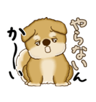 柴犬さん 2025 「やるかやらないか」（個別スタンプ：40）