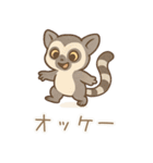 ZOOっとまいにち（個別スタンプ：8）
