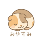 ZOOっとまいにち（個別スタンプ：10）