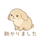 ZOOっとまいにち（個別スタンプ：25）