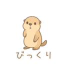 ZOOっとまいにち（個別スタンプ：28）