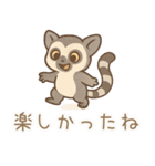 ZOOっとまいにち（個別スタンプ：31）