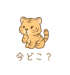 ZOOっとまいにち（個別スタンプ：39）